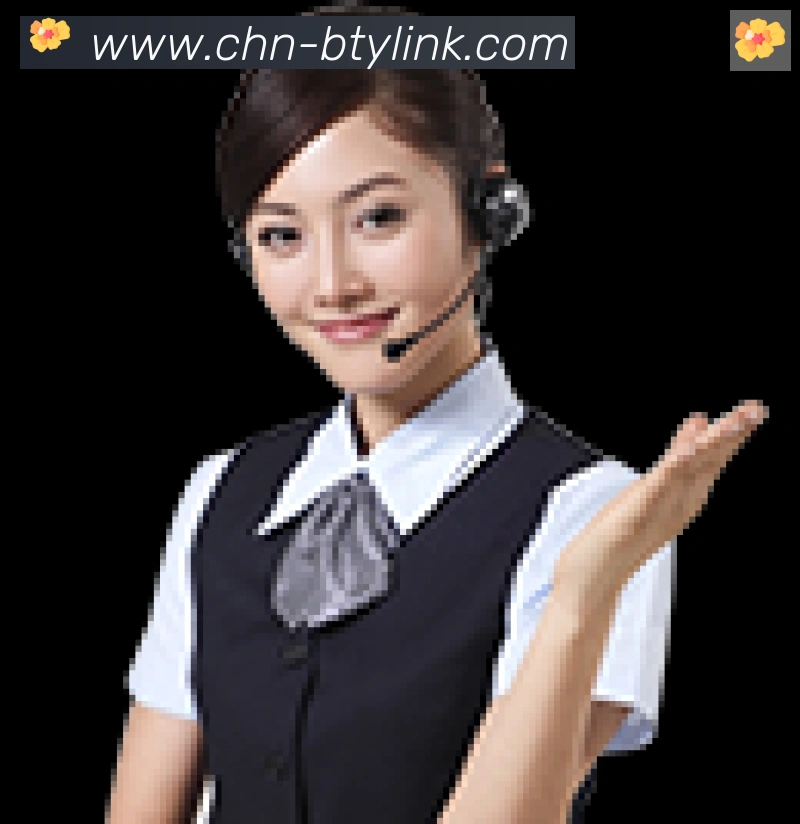 体育数据展示
